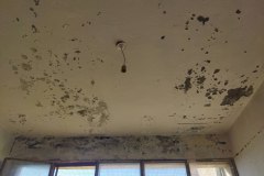 Schäden durch das undichte Dach